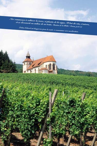 Panneau de l'exposition Vigne, vignoble, vin