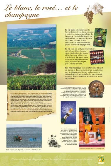 Panneau de l'exposition La vigne et le vin
