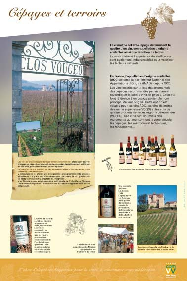 Panneau de l'exposition La vigne et le vin