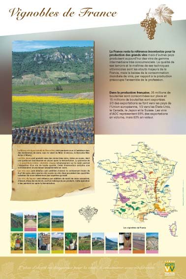 Panneau de l'exposition La vigne et le vin