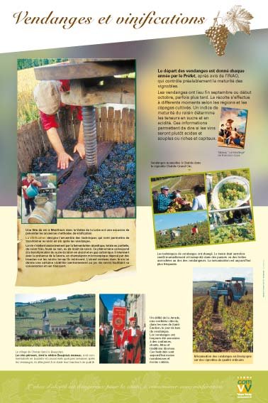 Panneau de l'exposition La vigne et le vin